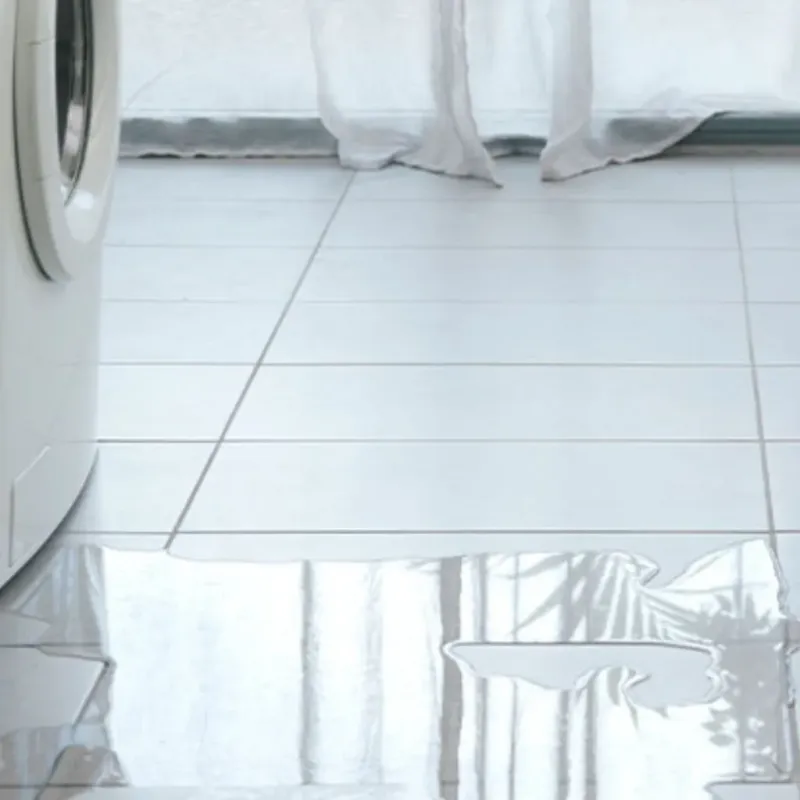 Appliance Leak Cleanup in Pharr, TX