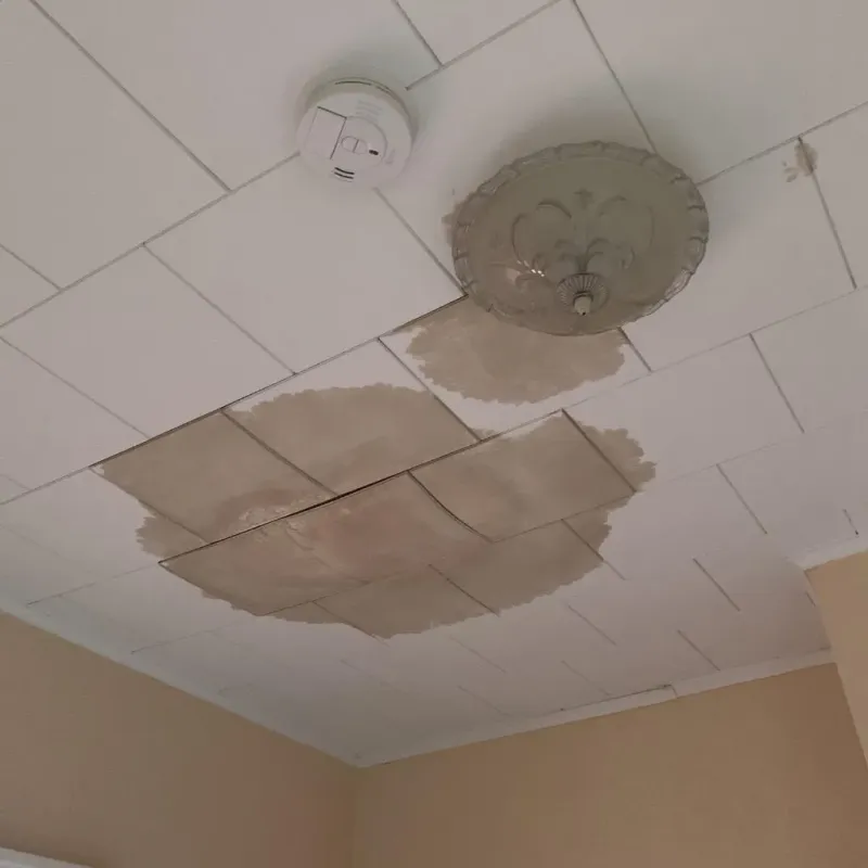 Ceiling Water Damage Repair in Pharr, TX