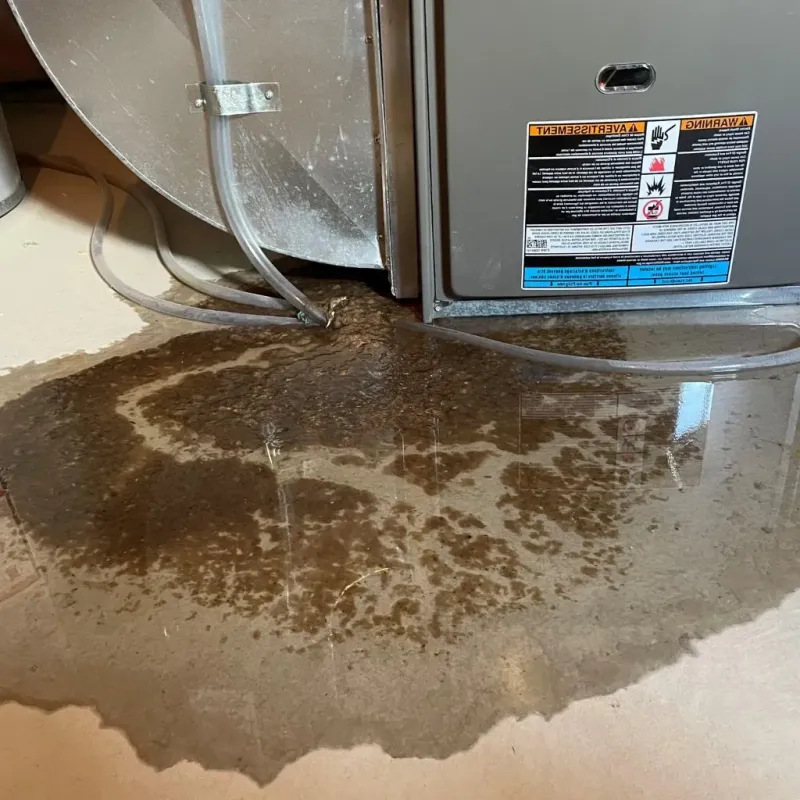 Pipe Burst and Leak Restoration in Pharr, TX